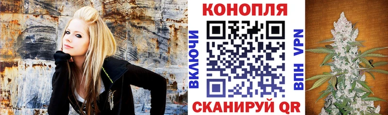 Бошки марихуана конопля  маркетплейс официальный сайт  Лобня 